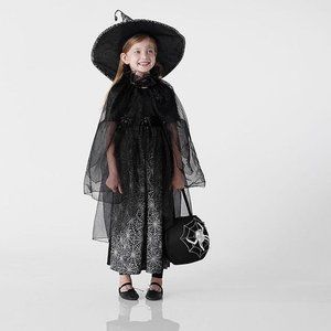 NWT Pottery Barn Kids Glow in the Dark Spider Witch Halloween Costume  4-6T